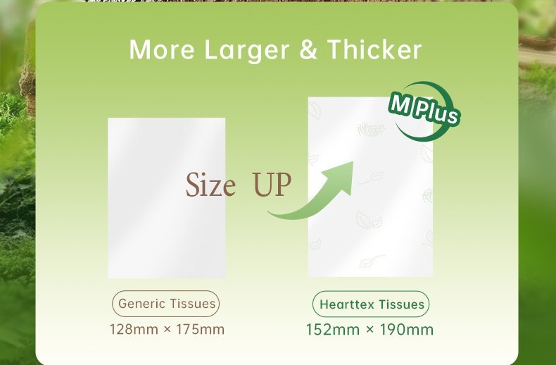 One - case Hearttex Soft Facial Tissues, 3 - ply, 110 Sheets per Pack, 20 Packs