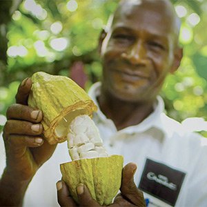 Hotel Chocolat - Everything Sleekster，355 Grams