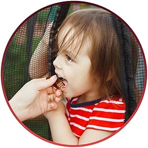 Assorted Chocolate Bulk Box (5-6 Pounds, 150 Pieces)