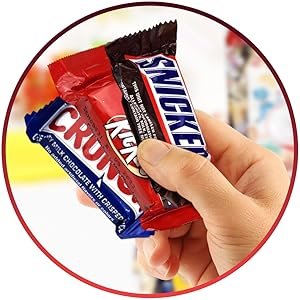 Assorted Chocolate Bulk Box (5-6 Pounds, 150 Pieces)